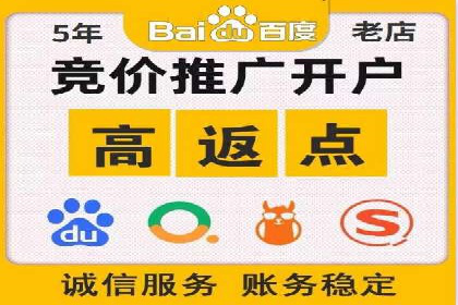 SEM专员案例：数据分析与优化